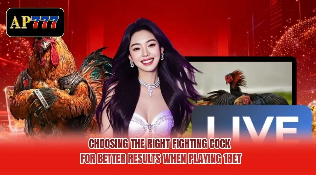 Choosing the right fighting cock for better results when playing 1BET Choosing the right fighting cock for better results when playing 1BET