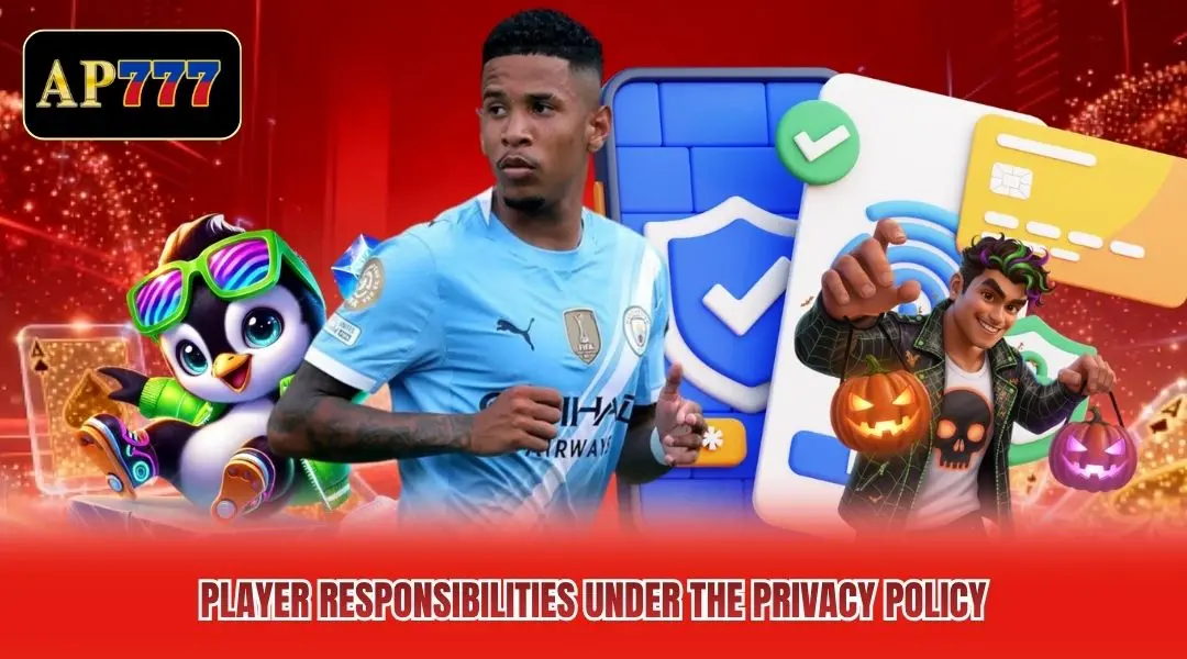 Player responsibilities under the privacy policy