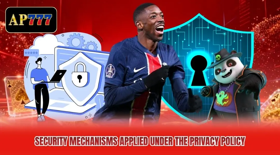 Security mechanisms applied under the privacy policy